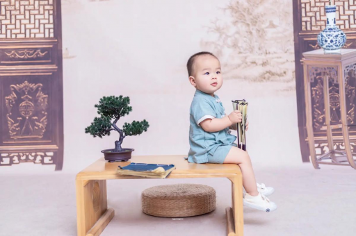 桐城可爱的企鹅宝宝